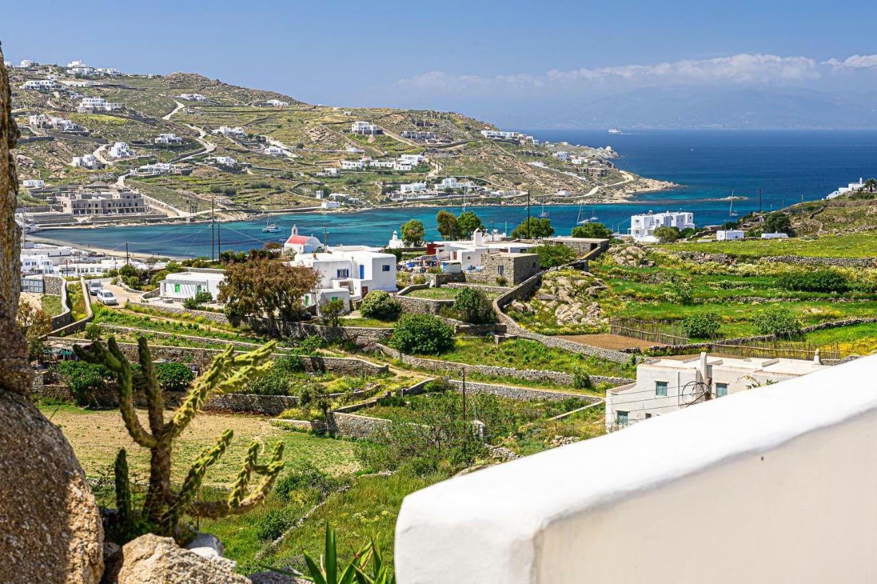 9 Muses Villas Mykonos Ornos  Eksteriør billede